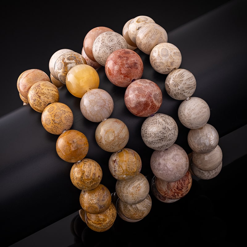 Fossil Bead Bracelet